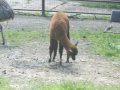 IMGP0838.JPG